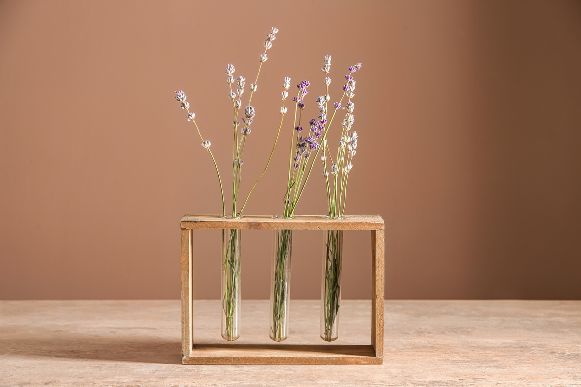 Stand with Beautiful Lavender on Table against Color Background